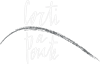 Logo di CORTI A PONTE APS