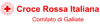 Logo di CROCE ROSSA ITALIANA - COMITATO DI GALLIATE - ORGANIZZAZIONE DI VOLONTARIATO
