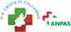 Logo di PUBBLICA ASSISTENZA CROCE VERDE COLLEGNO, ORGANIZZAZIONE DI VOLONTARIATO