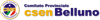 Logo di CSEN COMITATO PROVINCIALE DI BELLUNO