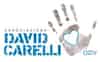 Logo di DAVID CARELLI ORGANIZZAZIONE DI VOLONTARIATO