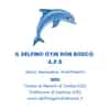 Logo di IL DELFINO GYM DON BOSCO A.P.S.