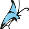 Logo di FONDAZIONE DOPO DI NOI LA CRISALIDE ETS