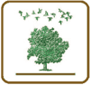 Logo di ODV BOSCO DELLA MAN DI FERRO