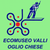 Logo di ASSOCIAZIONE ECOLOGICA MUSEO OGLIO CHIESE - ODV