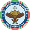 Logo di ODV FALCHI MONTEFORTE