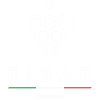 Logo di DELEGAZIONE FISAR VICENZA - ASSOCIAZIONE DI PROMOZIONE SOCIALE