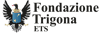 Logo di FONDAZIONE TRIGONA ETS