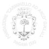 Logo di FONDAZIONE CARMINELLO AD ARCO ETS