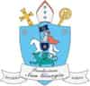 Logo di SALUS INFIRMORUM