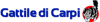 Logo di ASSOCIAZIONE PROTEZIONE ANIMALI CARPIGIANA-ODV