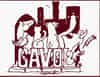 Logo di G.A.VOL. ODV GRUPPO ANIMALISTI VOLTERRA
