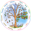Logo di QUATTRO STAGIONI ODV