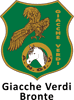 Logo di ASSOCIAZIONE NAZIONALE GIACCHE VERDI SICILIA ODV RAGGRUPPAMENTO PROVINCIALE DI BRONTE