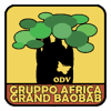 Logo di GRUPPO AFRICA GRAND BAOBAB
