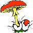 Logo di GRUPPO MICOLOGICO CECINESE APS