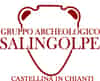 Logo di GRUPPO ARCHEOLOGICO SALINGOLPE ODV
