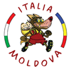 Logo di ASSOCIAZIONE ITALIA-MOLDOVA ODV