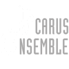 Logo di ENSEMBLE ICARUS APS