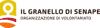Logo di ASSOCIAZIONE IL GRANELLO DI SENAPE ODV
