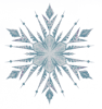 Logo di IL FIOCCO DI NEVE APS