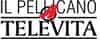 Logo di IL PELLICANO ODV