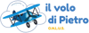 Logo di IL VOLO DI PIETRO - ORGANIZZAZIONE DI VOLONTARIATO