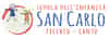 Logo di SCUOLA DELL'INFANZIA PARITARIA SAN CARLO - FECCHIO ETS