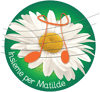 Logo di INSIEME PER MATILDE APS