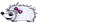 Logo di CENTRO RECUPERO RICCI LA NINNA ODV