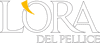 Logo di HARI ASSOCIAZIONE DI PROMOZIONE SOCIALE