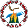 Logo di GRUPPO VOLONTARI PC ED ANTINCENDIO BOSCHIVO DI SONICO - ORGANIZZAZIONE DI VOLONTARIATO