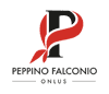 Logo di FONDAZIONE FALCONIO ETS