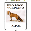 Logo di PRO LOCO VOLPIANO APS