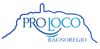 Logo di PRO LOCO BAGNOREGIO APS