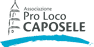 Logo di PRO LOCO CAPOSELE APS