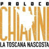 Logo di PROLOCO DI CHIANNI APS