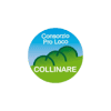 Logo di PRO LOCO COLLERUMIZ APS