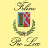 Logo di ASSOCIAZIONE PRO LOCO FELINO - APS