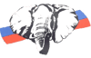 Logo di PRO LOCO GOSSOLENGO - APS