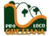 Logo di PRO LOCO GREZZANA APS