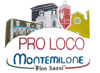 Logo di PRO LOCO MONTEMILONE PINO SASSI APS