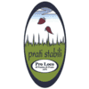 Logo di PRO LOCO DI PASIAN DI PRATO APS