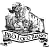 Logo di PRO LOCO RIANO APS