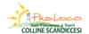 Logo di PRO LOCO SAN VINCENZO A TORRI COLLINE SCANDICCESI APS