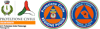 Logo di PROTEZIONE CIVILE PALMARIGGI ODV