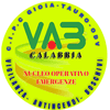 Logo di CENTRO ITALIANO PROTEZIONE CIVILE GIOIA TAURO ODV