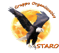 Logo di GRUPPO ORGANIZZATIVO STARO APS