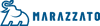 Logo di APS CIRCOLO ITALIANO CAMION STORICI GINO TASSI