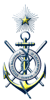 Logo di SOCIETA' NAZIONALE DI SALVAMENTO  SEZIONE DI SENIGALLIA